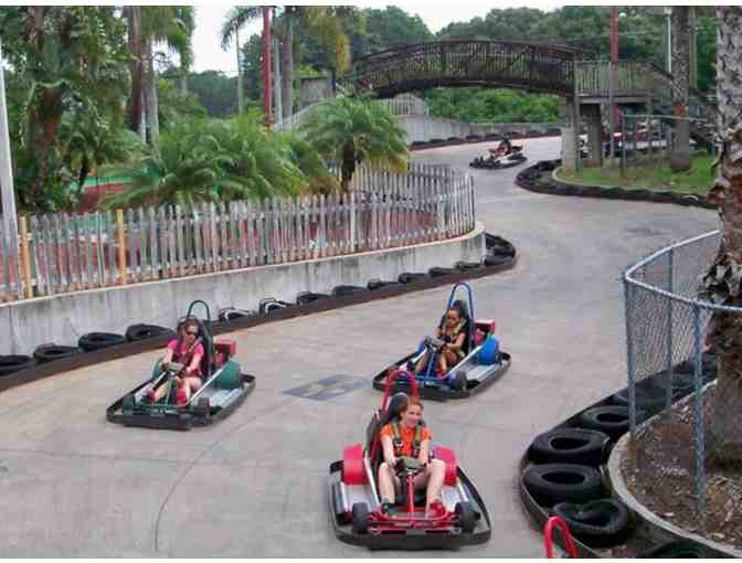 4 Two Hour Passes - Unlimited Attractions to Andretti Thrill Park