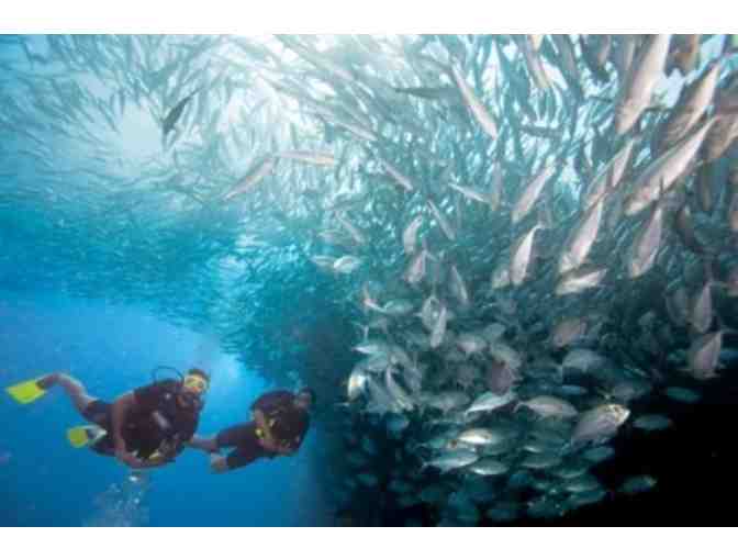 2 Hour Introductory SCUBA Diving Lesson - Malibu Divers