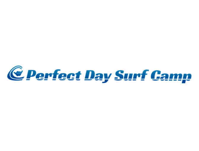 1 Day - Perfect Day Surf Camp