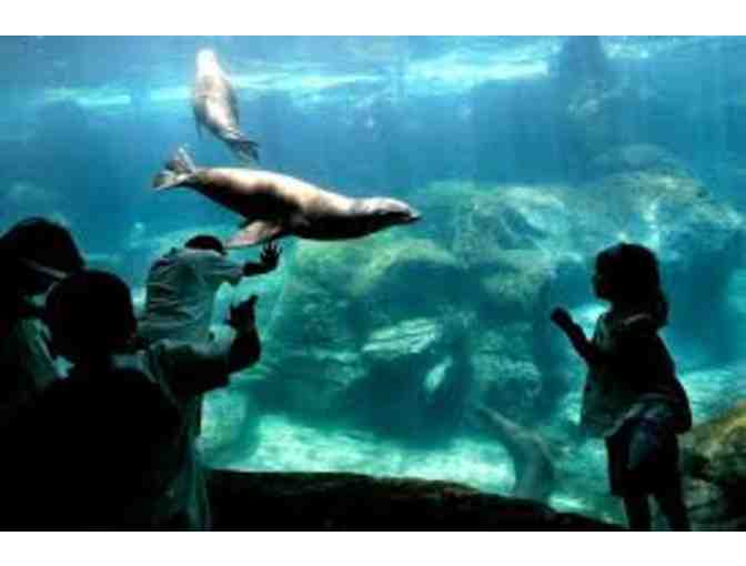 2 Admissions Tickets to Aquarium of the Pacific