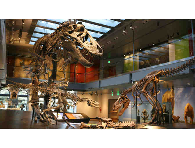 4 Guest Passes - Natural History Museum  or George C. Page Museum at the La Brea Tar Pits