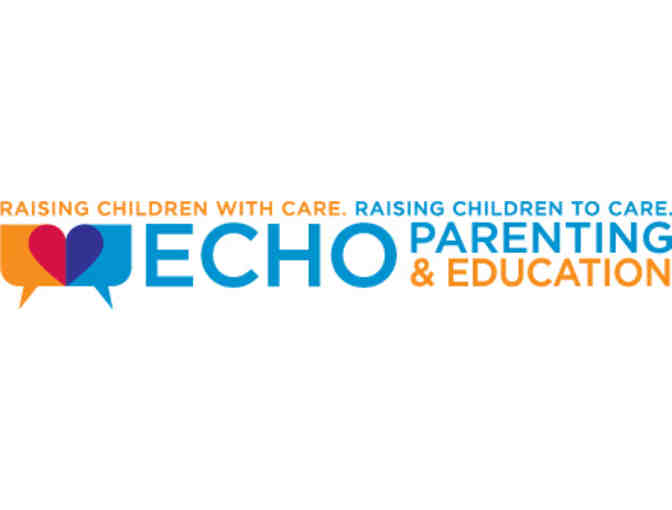 3 One-Hour Sessions wtih Certified Parent Educator from Echo Parenting