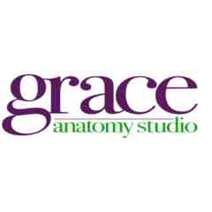 Grace Anatomy