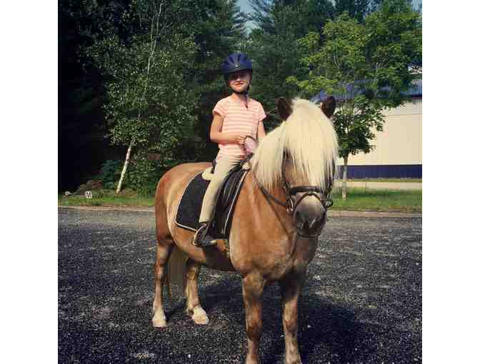 One Riding Lesson for Any Age Rider at Waterford Equestrian Center, Waterford, ME