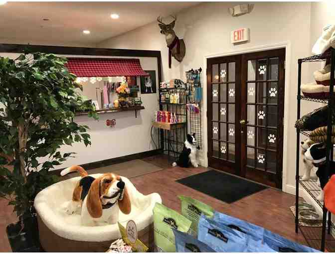 $25 Gift Certificate for Wicked Wags Grooming Salon & Pet Boutique, Bridgton, ME
