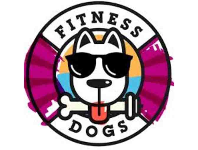 Paws 4 Fitness Group Session with Amy Hicks