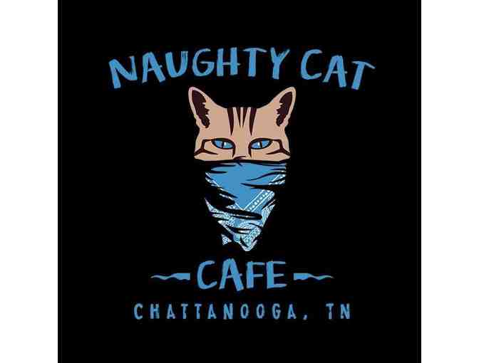 Naughty Cat Cafe - 1 hours cat lounge visit for 2