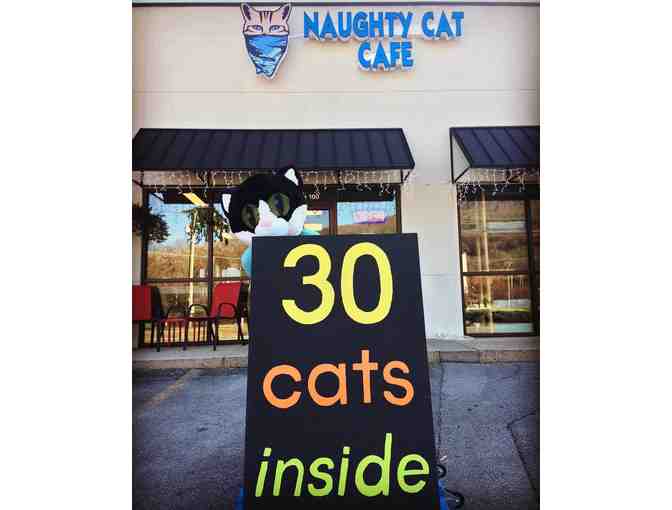 Naughty Cat Cafe - 1 hours cat lounge visit for 2
