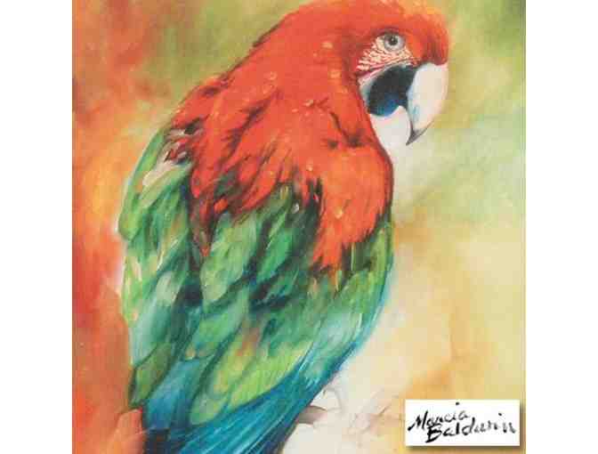 'Macaw Parrot' Ltd. Edition Giclee on Canvas by Marcia Baldwin