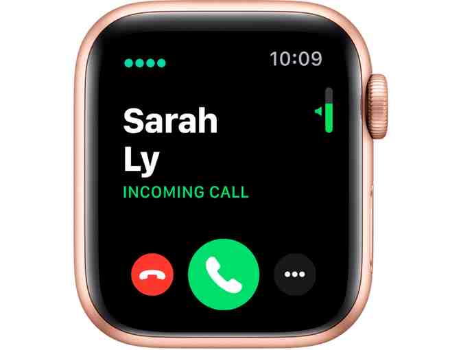 Apple Watch Series 5 in Gold