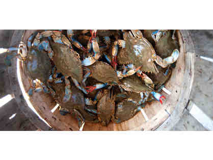 Bushel of Fresh Jimmy Crabs