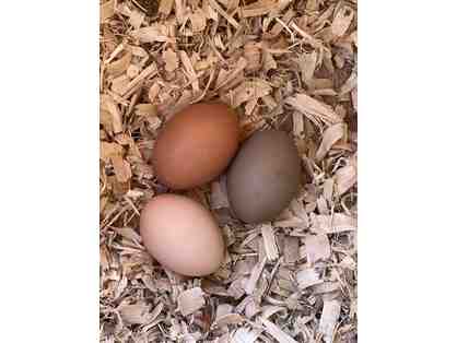 A Dozen Eggs from Compass Raised Chickens! Very Egg-cellent!