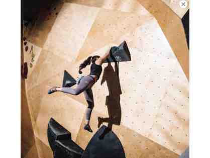Learn The Ropes Experience - 16 YR + at Brooklyn Boulders