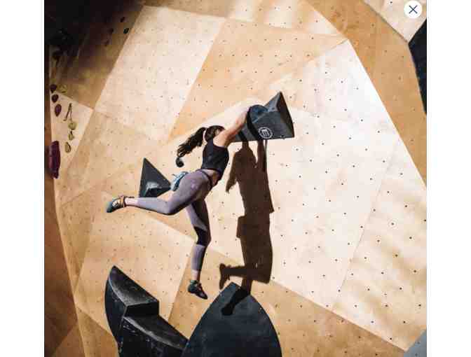 Learn The Ropes Experience - 16 YR + at Brooklyn Boulders - Photo 1