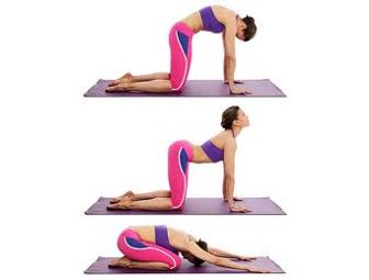 Yoga Class for 10 followed by Wine and Cheese