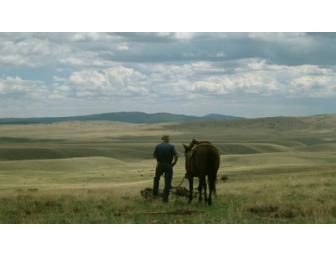 One Week for 2 at Breathtaking New Mexico Mountaintop Guest Ranch