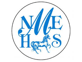 Morgan Horse Adventure with Mrs. Highgas!