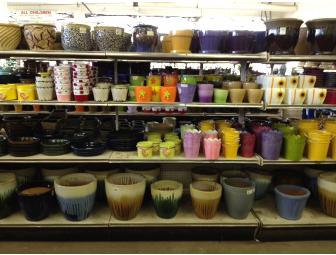 4 Hours Professional Landscaping & $200 Gift Certificate to Kanes Flower World