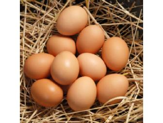 Fresh Eggs from Brookwood's Own Chickens