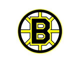 Bruins Tickets - 4 loge area seats--Any Regular Season Game!