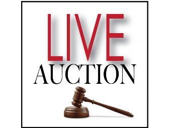 'Brookwood Gardens & Chickens' Framed Painting, Paula Cardarelli