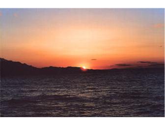 The Lobster Pool at Folly Cove