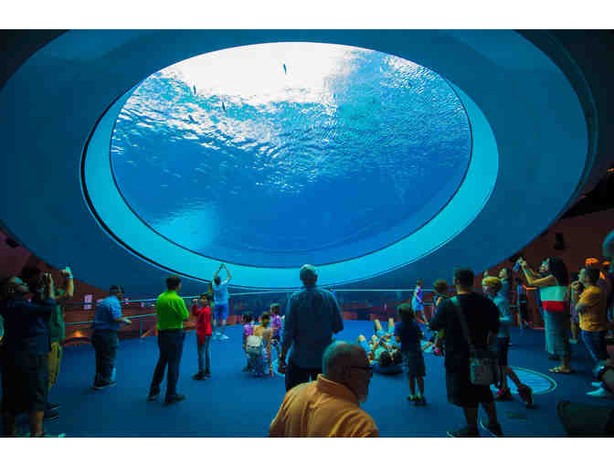 Frost Museum of Science Family Annual Membership