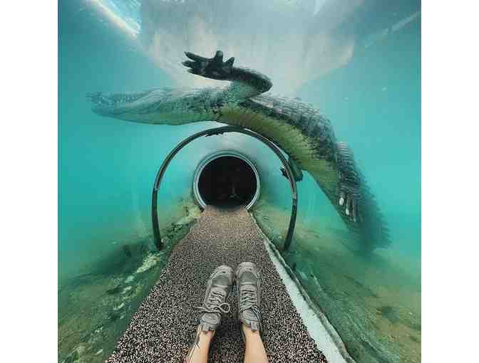 Four (4) Admission Tickets to Zoo Miami