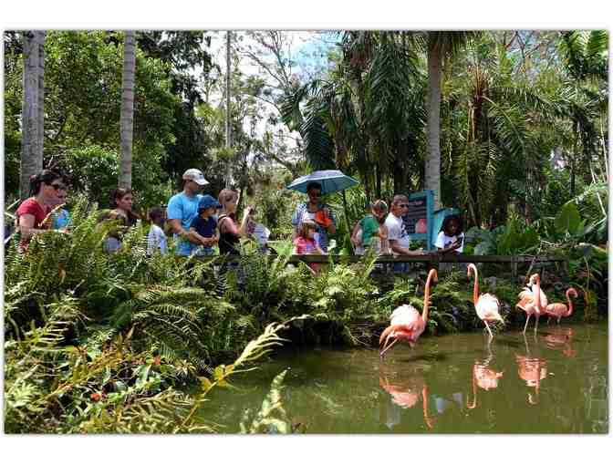 Two (2) Admission Tickets to Flamingo Gardens