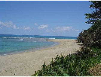 Dominican Republic Beachfront Villa - One Week Vacation Rental!