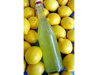 Homemade Limoncello from Villa Chericoni