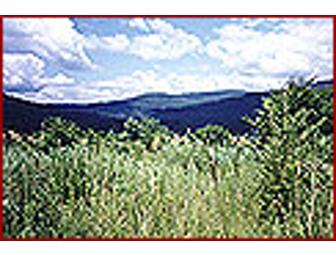 Enjoy a Weekend Getaway in the Catskill Mountains!