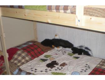 Lovely Summer or Winter - Condo at Mammoth, CA