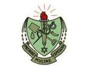 SIGMA DELTA TAU MANICURE PARTY at Union College!