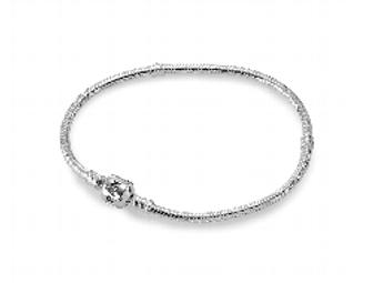 Pandora Bracelet Starter Set from Northeastern Fine Jewelry