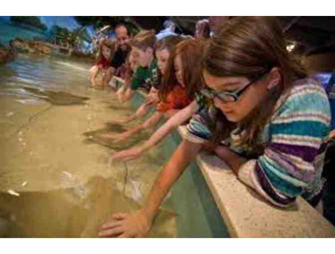 Explore Boston! Annual Pass to New England Aquarium & Tickets to Children's Museum