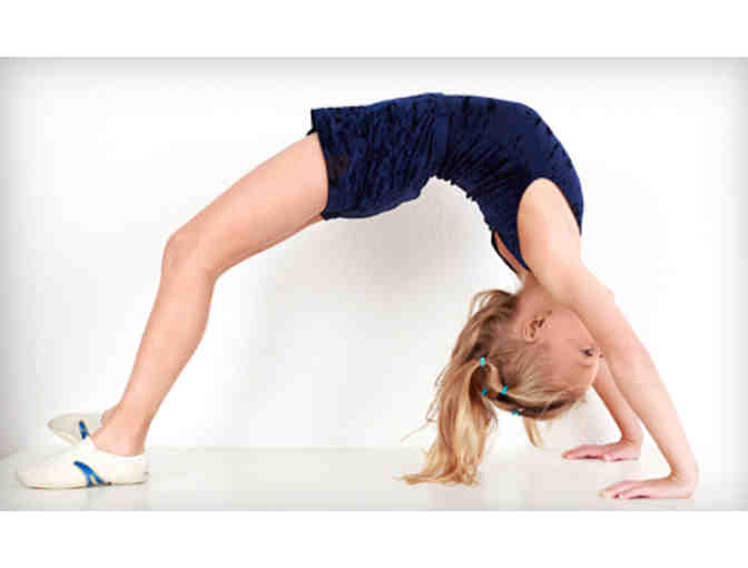 Discover Twist N Flip Gymnastics with this $50 GIft Certificate!