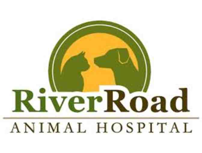 3 Nights of Boarding for your Dog or Cat at River Road Animal Hospital
