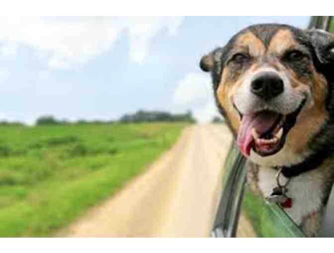 3 Nights of Boarding for your Dog or Cat at River Road Animal Hospital