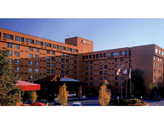 Enjoy a Staycation at the Albany Marriott!