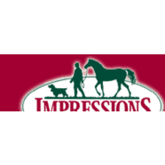 Impressions of Saratoga