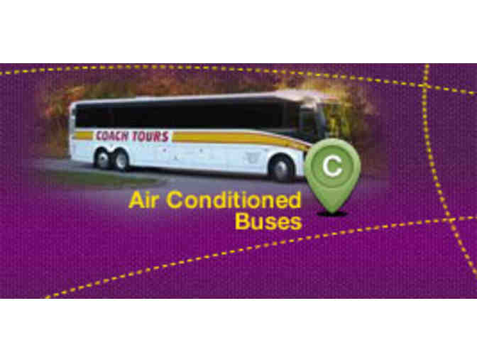 50% off Mill Basin Day Camp