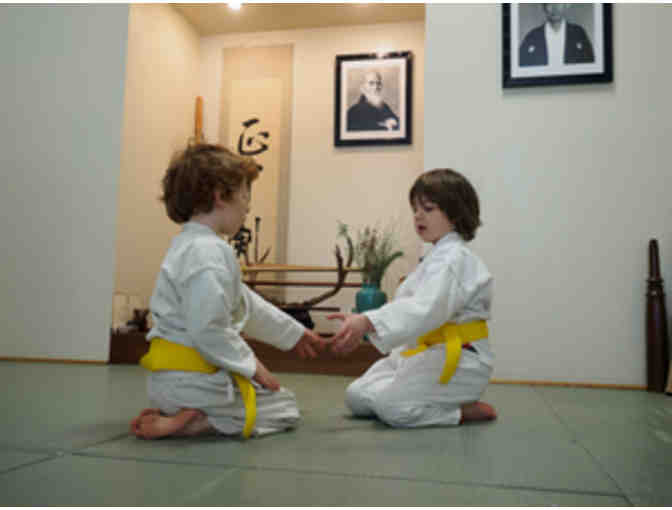 Brooklyn Aikikai-One Week Kids Summer Camp