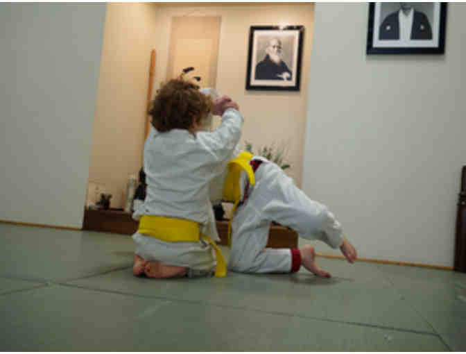 Brooklyn Aikikai-One Week Kids Summer Camp