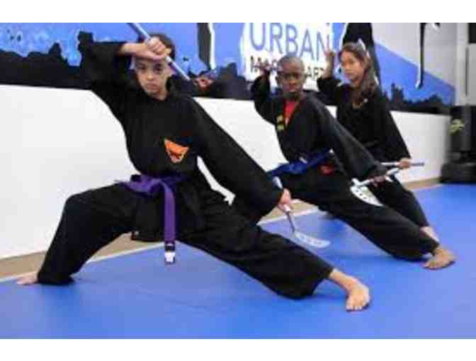 Urban Martial Arts-6 Weeks of Kids Karate Classes