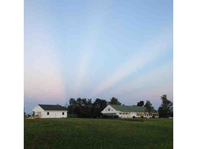 3 Week Summer Sleepaway Camp Session at Tranquillity Camp