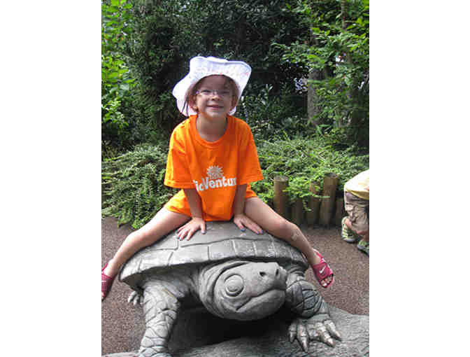 A Week of Camp at Kidventures NYC