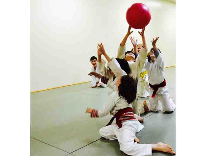 Brooklyn Aikikai-One Week Kids Summer Camp