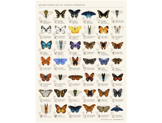 One Week of Pioneer Camping in Upstate NY #1