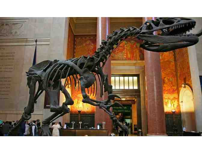 AMNH Saver Saver Package: IMAX, Special Exhibits, Space Show and More